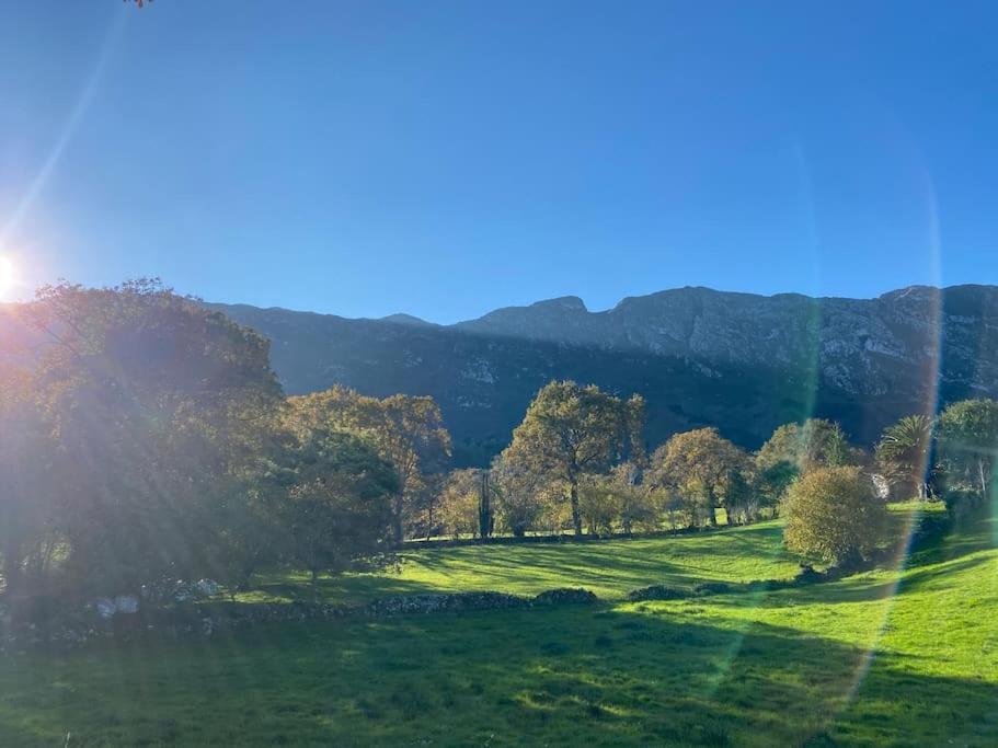 El Nido Villa Llanes Dış mekan fotoğraf